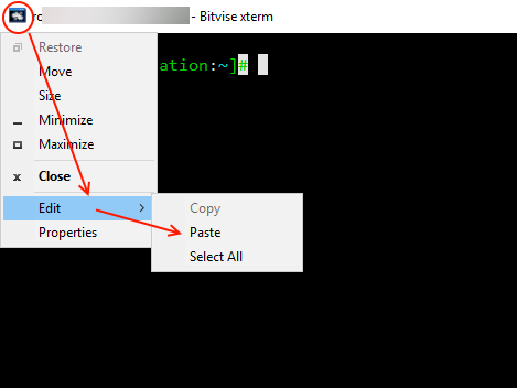 How To Paste Into Vim When Using Bitvise Ssh Client Keep