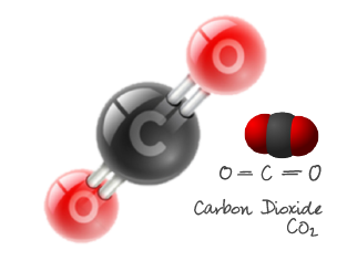 Carbon Dioxide [CO2]